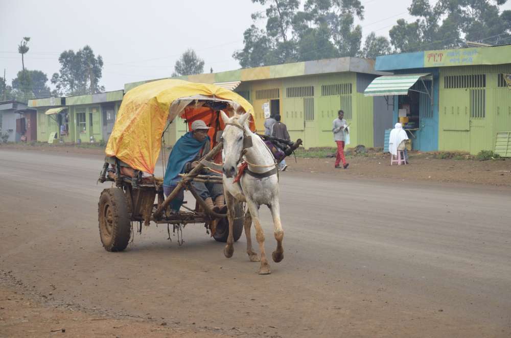 Horse drawn carriagein Debre Marcos, Ethiopia