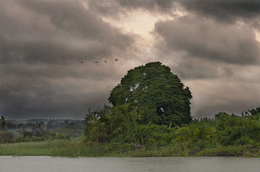 Stormy sky on Lake Tana, Ethiopia