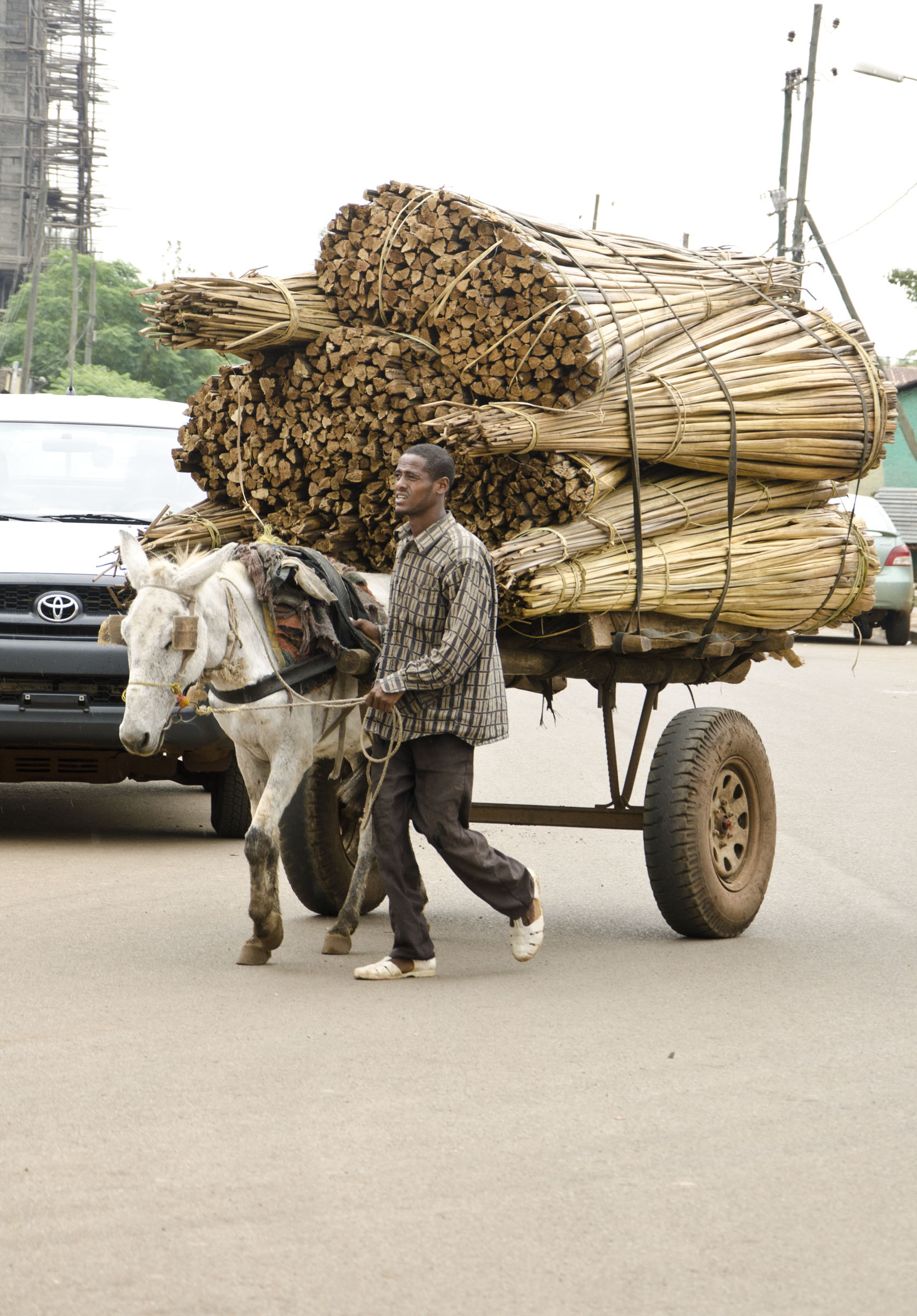Horse drawn timber cart, Bahir Dar, Ethiopia
