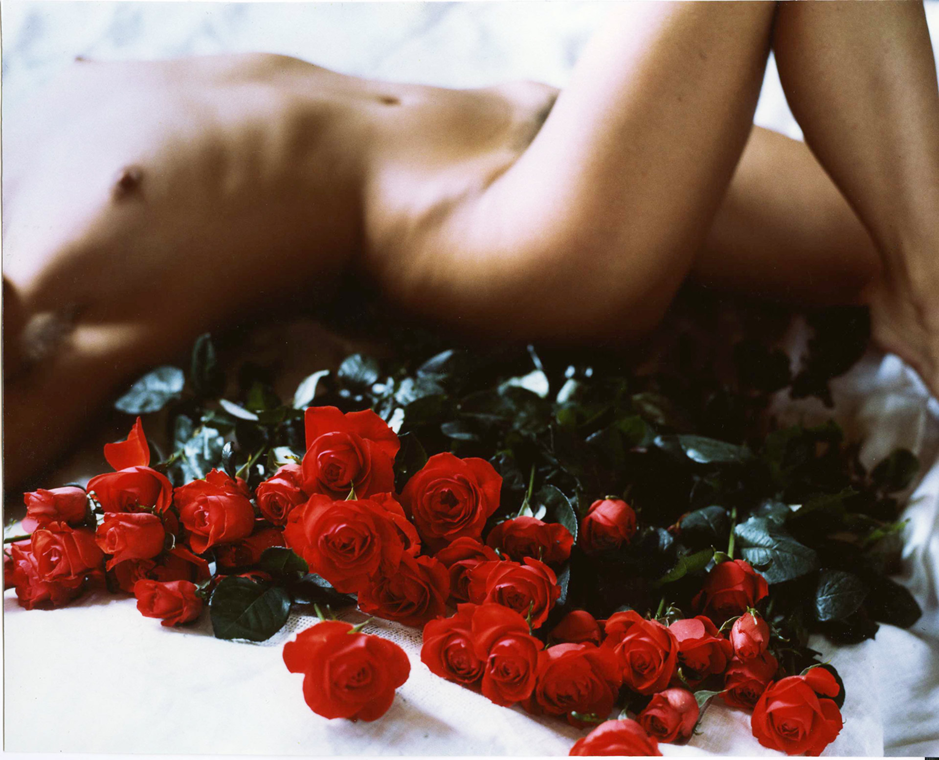 Nude with Roses, 1986